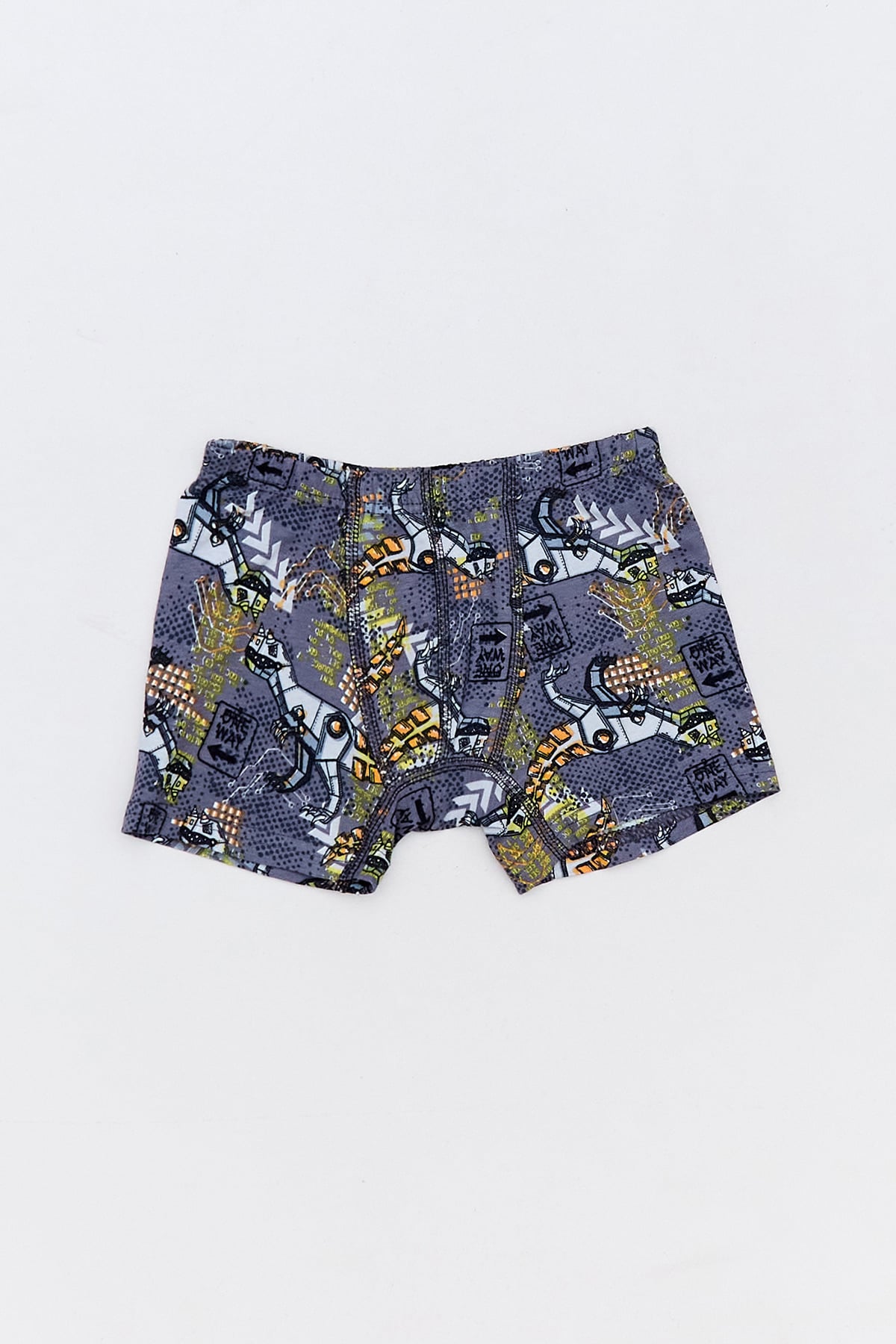 Dinozor Baskılı Erkek Çocuk 3 Lü Boxer 4